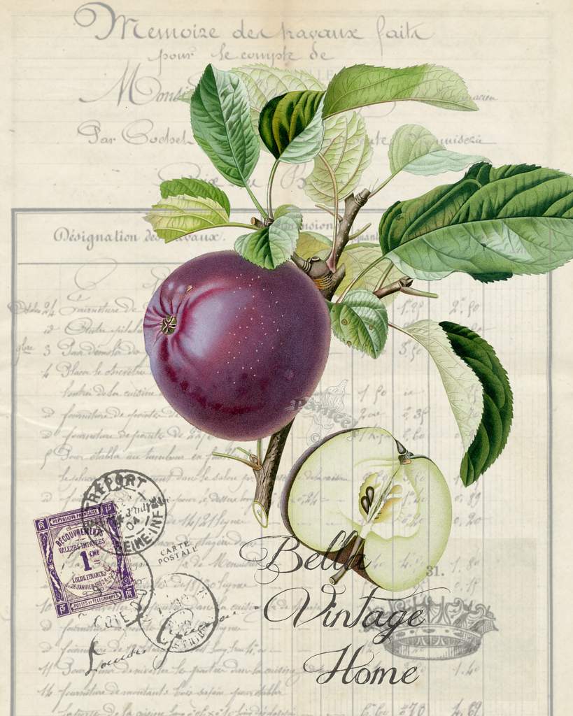 Botanical Purple Apple Print, Pillow, Note Cards, Tea Towel, Digital Download - BELLAVINTAGEHOME