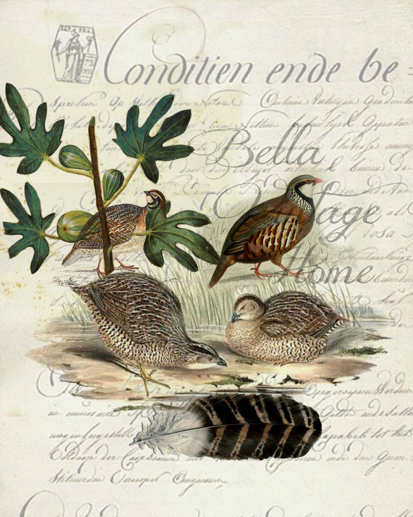 Fall Tea Towel Quails - BELLAVINTAGEHOME