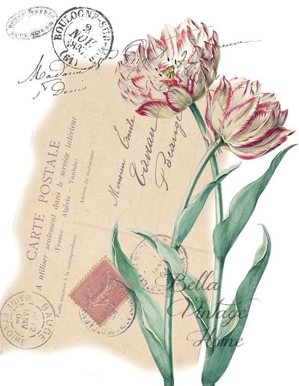 Botanical Red & White Tulips Print, Pillow, Note Cards, Tea Towel, Digital Download - BELLAVINTAGEHOME