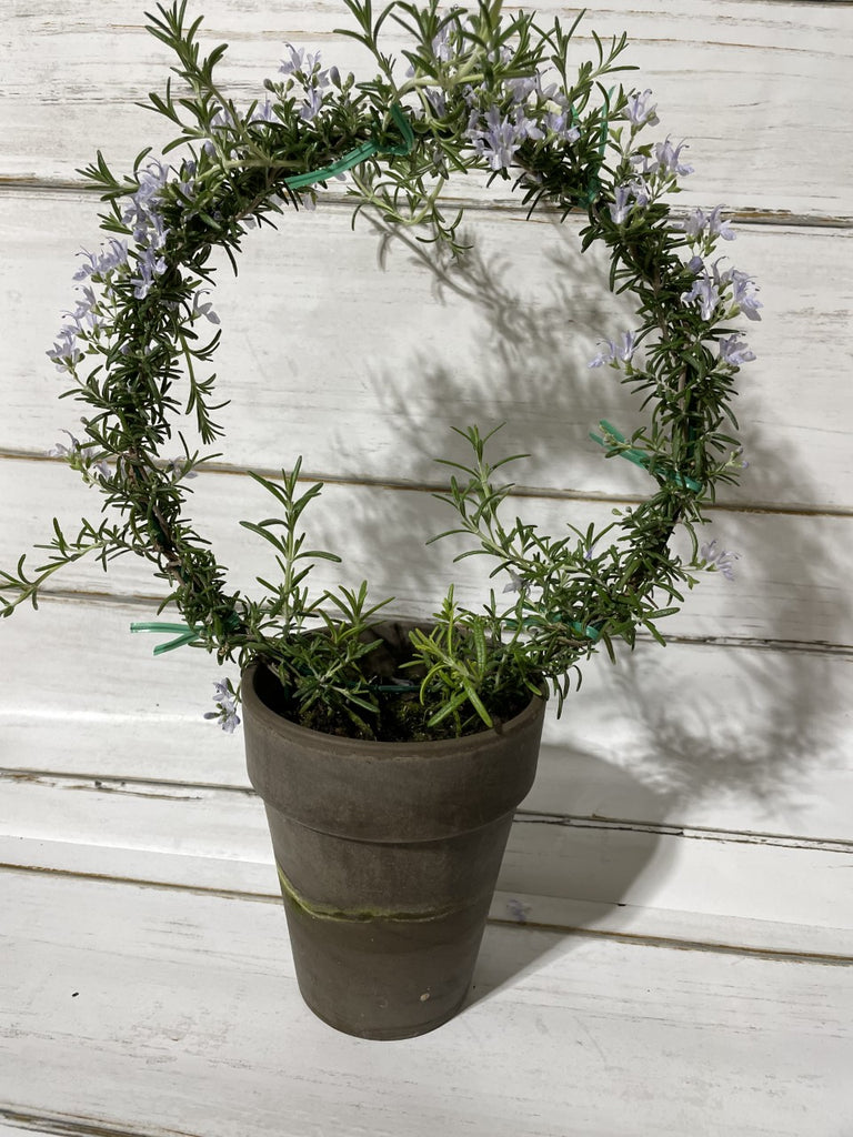 Rosemary Ring - BELLAVINTAGEHOME