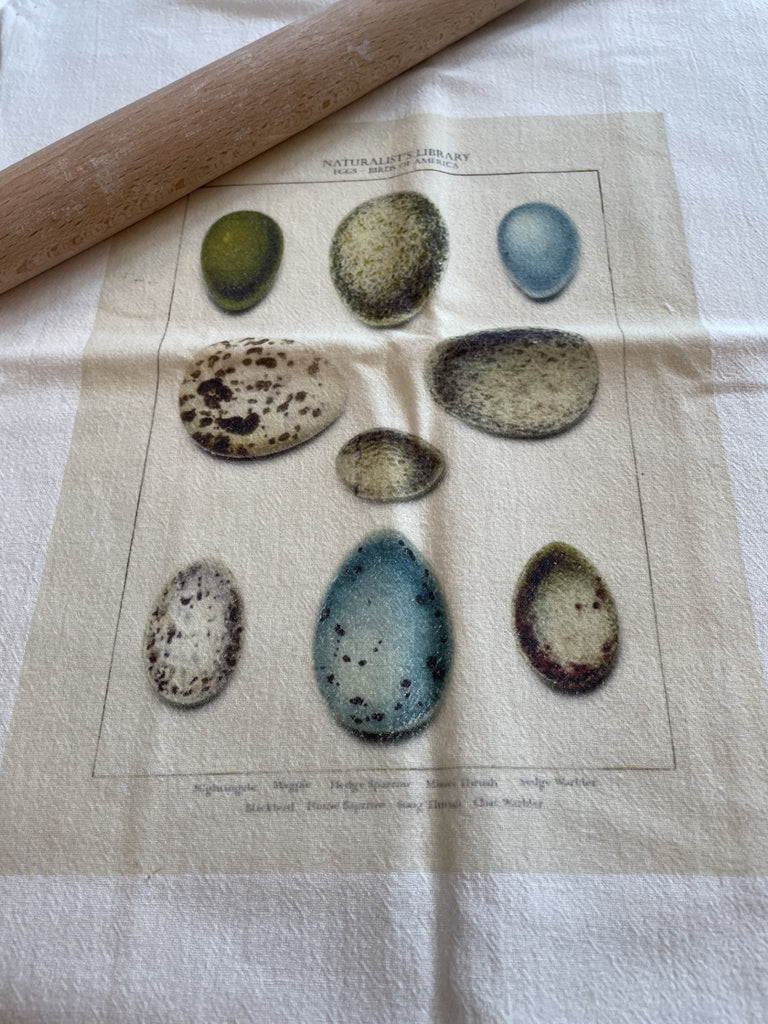 Tea Towel- Blue Eggs - BELLAVINTAGEHOME