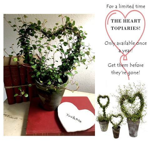 VERY LIMITED!  Angel Vine Heart Topiary