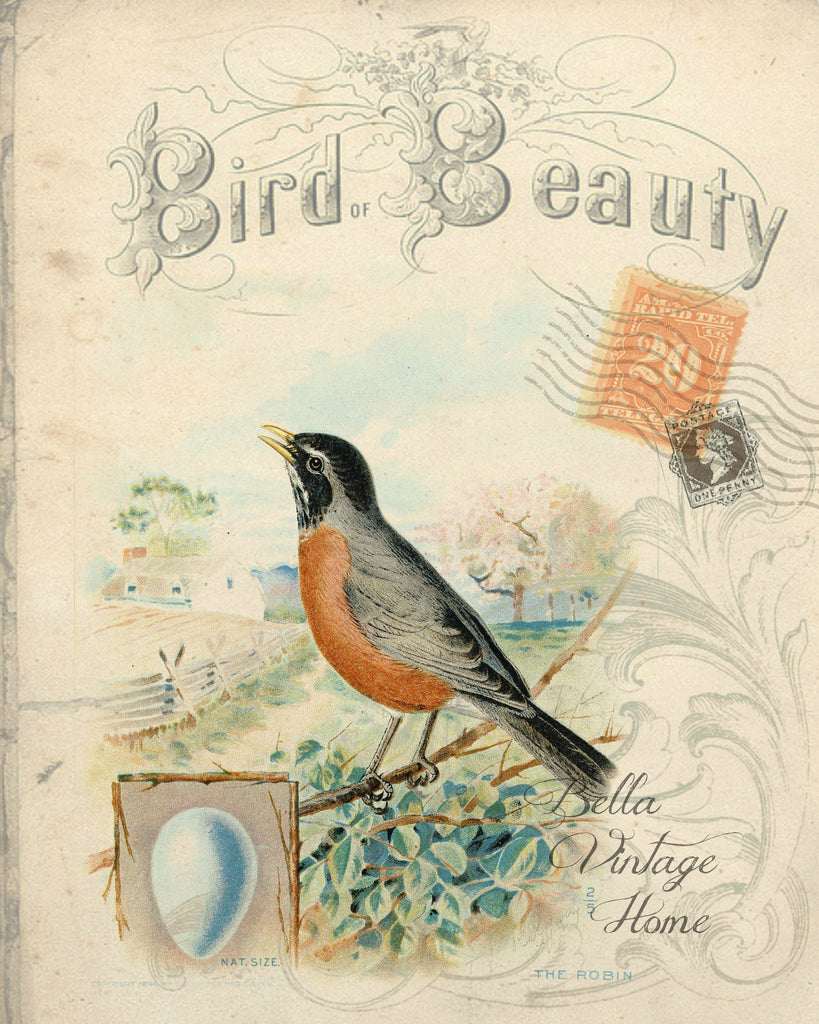 Botanical Bird Beauty Robin Print, Pillow, Note Cards, Tea Towel, Digital Download - BELLAVINTAGEHOME