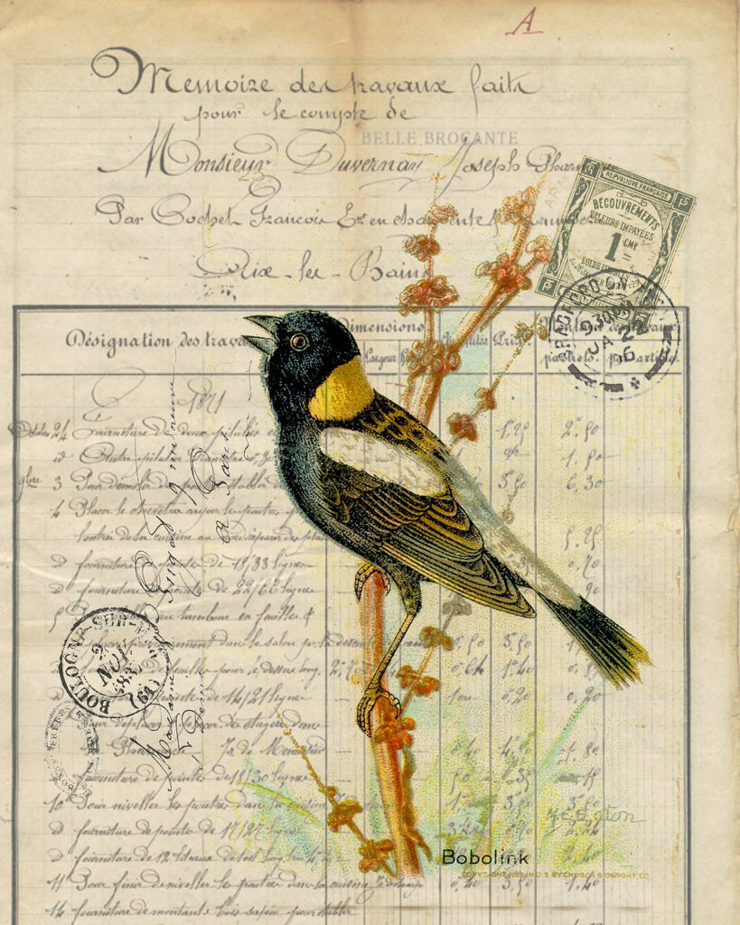 Botanical Bobolink Print, Pillow,Note Cards, Tea Towel, Digital Download - BELLAVINTAGEHOME