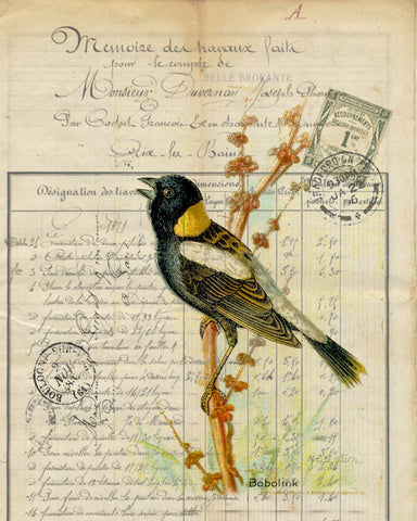 Botanical Bobolink Print, Pillow,Note Cards, Tea Towel, Digital Download - BELLAVINTAGEHOME