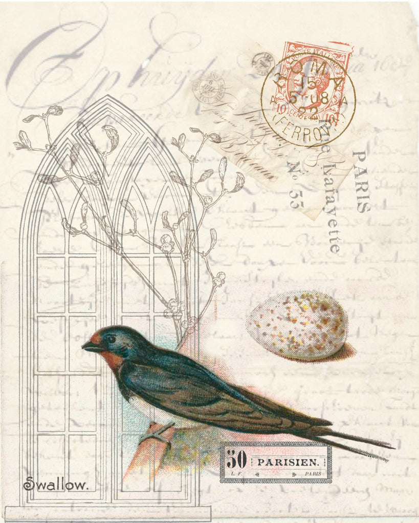 Botanical   Swallow Print,  Pillow, Note Cards, Tea Towel,Digital Download - BELLAVINTAGEHOME
