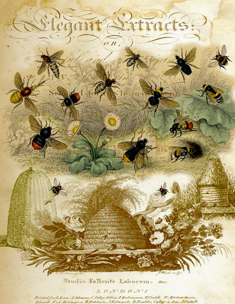 Insect Tea  Towel Bee Skeps - BELLAVINTAGEHOME
