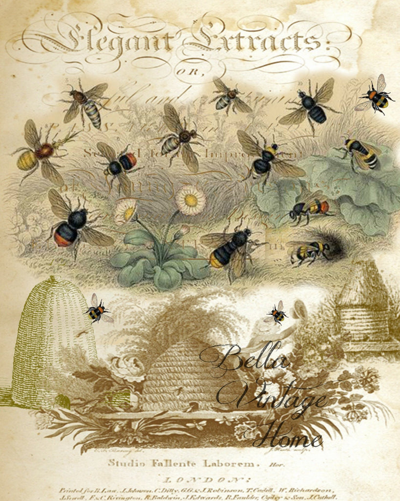 Botanical Bee Print, Pillow, Note Cards, Tea Towel, Digital Download - BELLAVINTAGEHOME