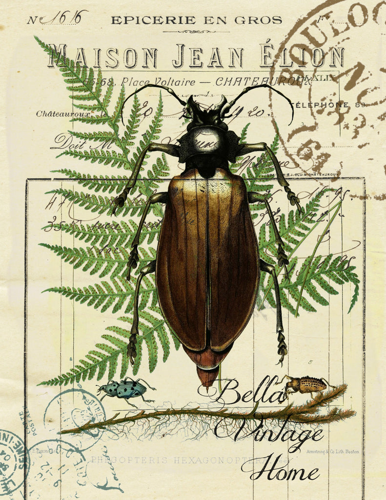 Insect Tea  Towel  Black Beetle - BELLAVINTAGEHOME