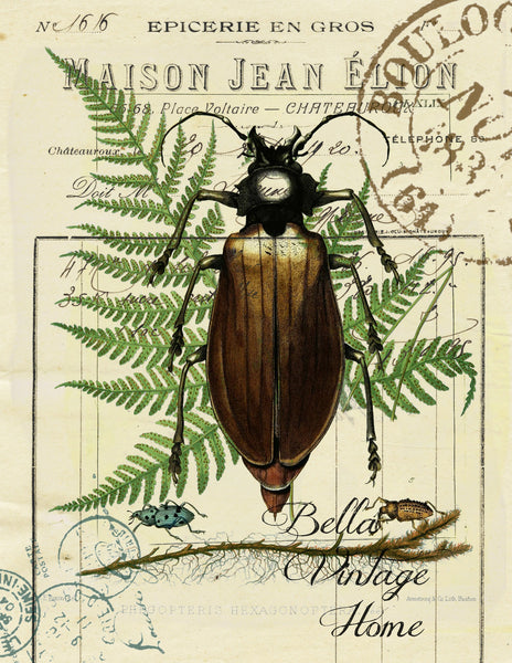 Botanical Beetle and Fern Print,  Pillow, Note Cards, Tea Towel, Digital Download - BELLAVINTAGEHOME