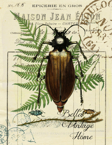 Botanical Beetle and Fern Print,  Pillow, Note Cards, Tea Towel, Digital Download - BELLAVINTAGEHOME
