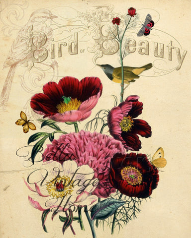 Botanical Bird with Anemone Print, Pillow, Notecards, Tea Towel, Digital Download - BELLAVINTAGEHOME