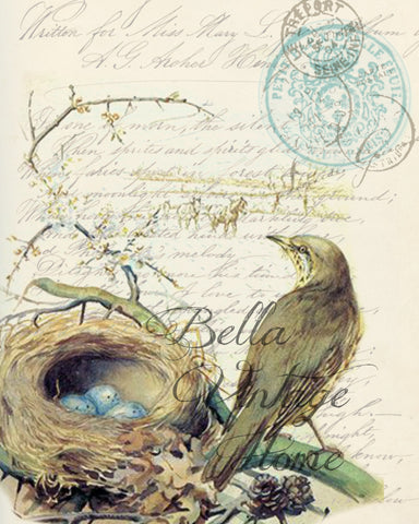 Botanical Bird with Nest Print, Pillow, Note Cards, Tea Towel, Digital Download - BELLAVINTAGEHOME