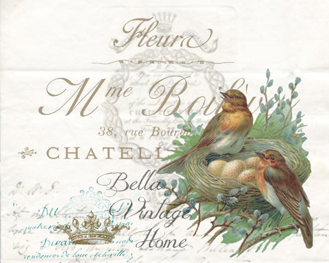 Botanical Birds with Nest Print, Pillow, Note Cards, Tea Towel, Digital Download - BELLAVINTAGEHOME
