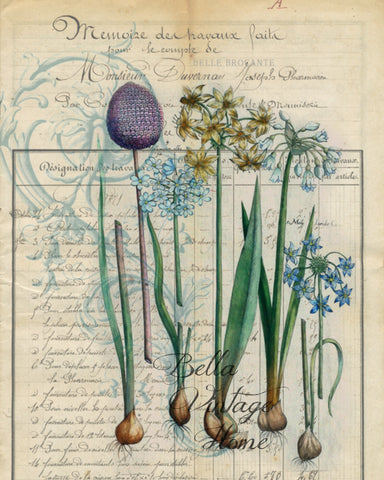 Botanical Blue Bulbs Print Print, Pillow, Note Cards, Tea Towel, Digital Download - BELLAVINTAGEHOME