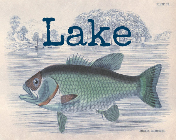 Blue Fish Lake Print,  Pillow, Note Cards, Tea Towel, Digital Download - BELLAVINTAGEHOME