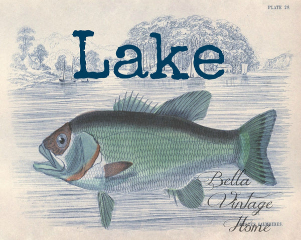 Blue Fish Lake Print,  Pillow, Note Cards, Tea Towel, Digital Download - BELLAVINTAGEHOME