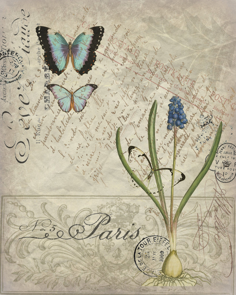 Botanical Hyancinth Print, Pillow, Note Cards, Tea Towel, Digital Download - BELLAVINTAGEHOME
