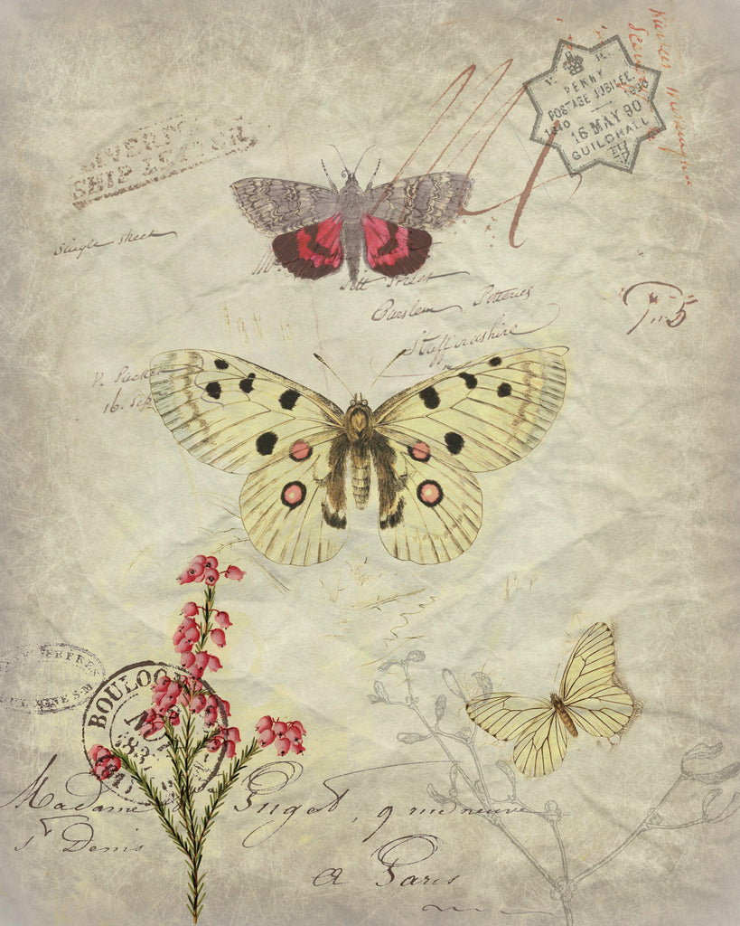 Insect Tea  Towel  Pink & Ivory Butterfly - BELLAVINTAGEHOME