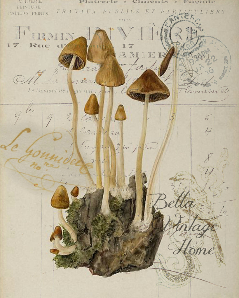 Botanical Brown Mushroom Print, Pillow, Note Cards, Tea Towel, Digital Download - BELLAVINTAGEHOME
