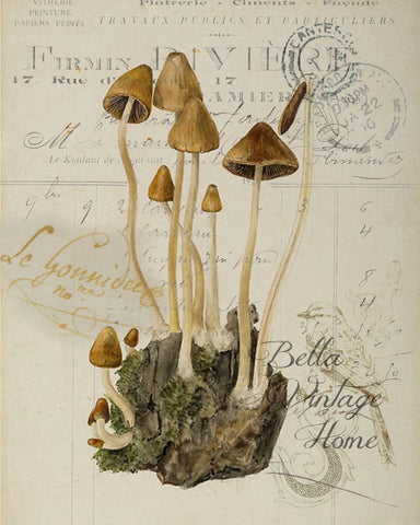 Botanical Brown Mushroom Print, Pillow, Note Cards, Tea Towel, Digital Download - BELLAVINTAGEHOME