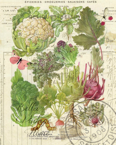 Botanical Cauliflower Print,  Pillow, Note Cards, Tea Towel, Digital Download - BELLAVINTAGEHOME