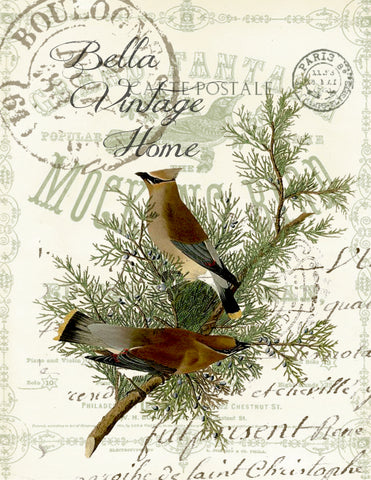 Botanical Cedar Waxwing Print, Pillow, Note Cards, Tea Towel, Digital Download - BELLAVINTAGEHOME