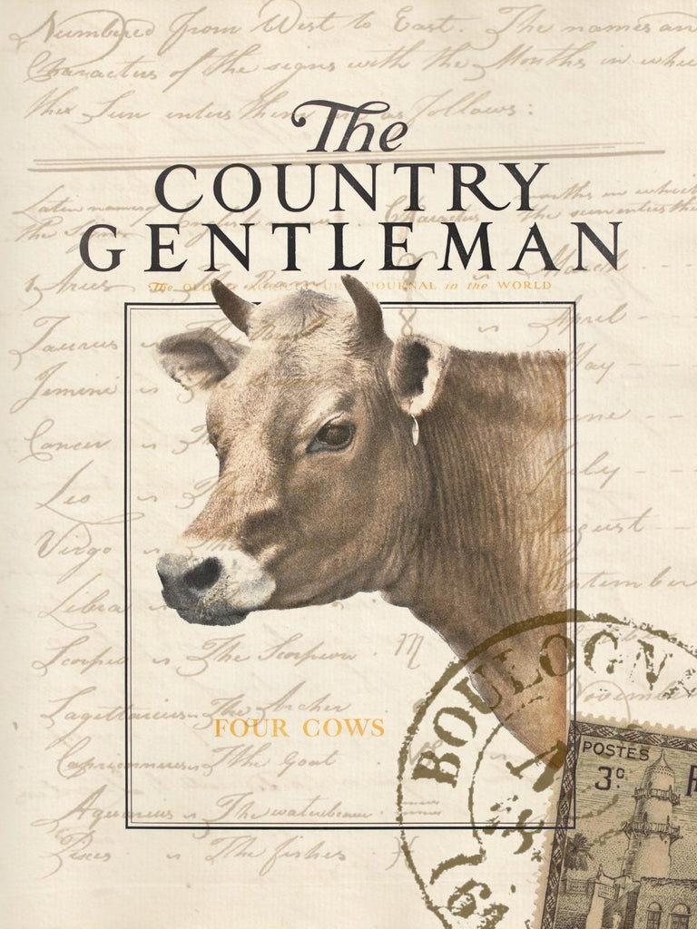 Country Gentlemen Print,  Pillow, Note Cards, Tea Towel, Digital Download - BELLAVINTAGEHOME