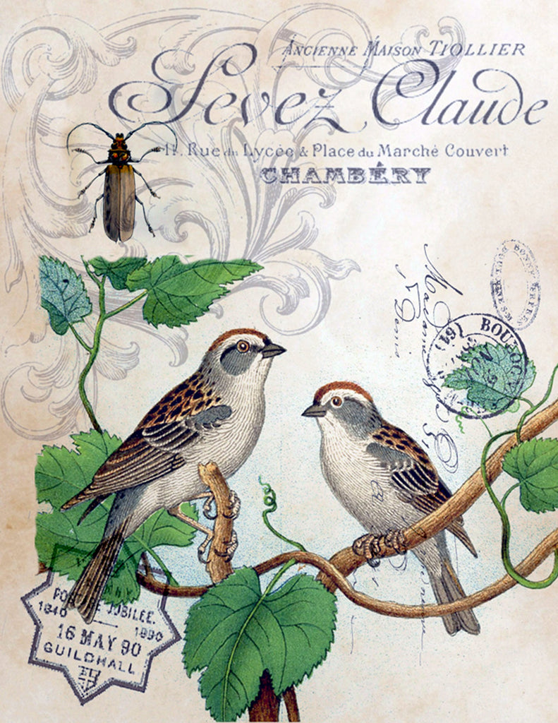 Botanical French Birds Print, Pillow, Note Cards, Tea Towel, Digital Download - BELLAVINTAGEHOME