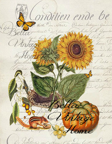 Sunflower  Botanical Print,  Pillow, Note Cards, Tea Towel, Digital Download - BELLAVINTAGEHOME