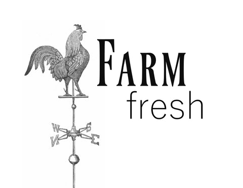 Farm Fresh Print,  Pillow, Note Cards< Tea Towel, Digital Download - BELLAVINTAGEHOME