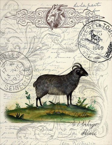 Farm Animal Goat Botanical Print, Pillow, Note Cards, Tea Towel, Digital Download - BELLAVINTAGEHOME