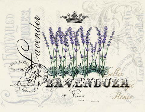 French Lavender  Print, Pillow, Note Cards, Tea Towel, Digital Download - BELLAVINTAGEHOME