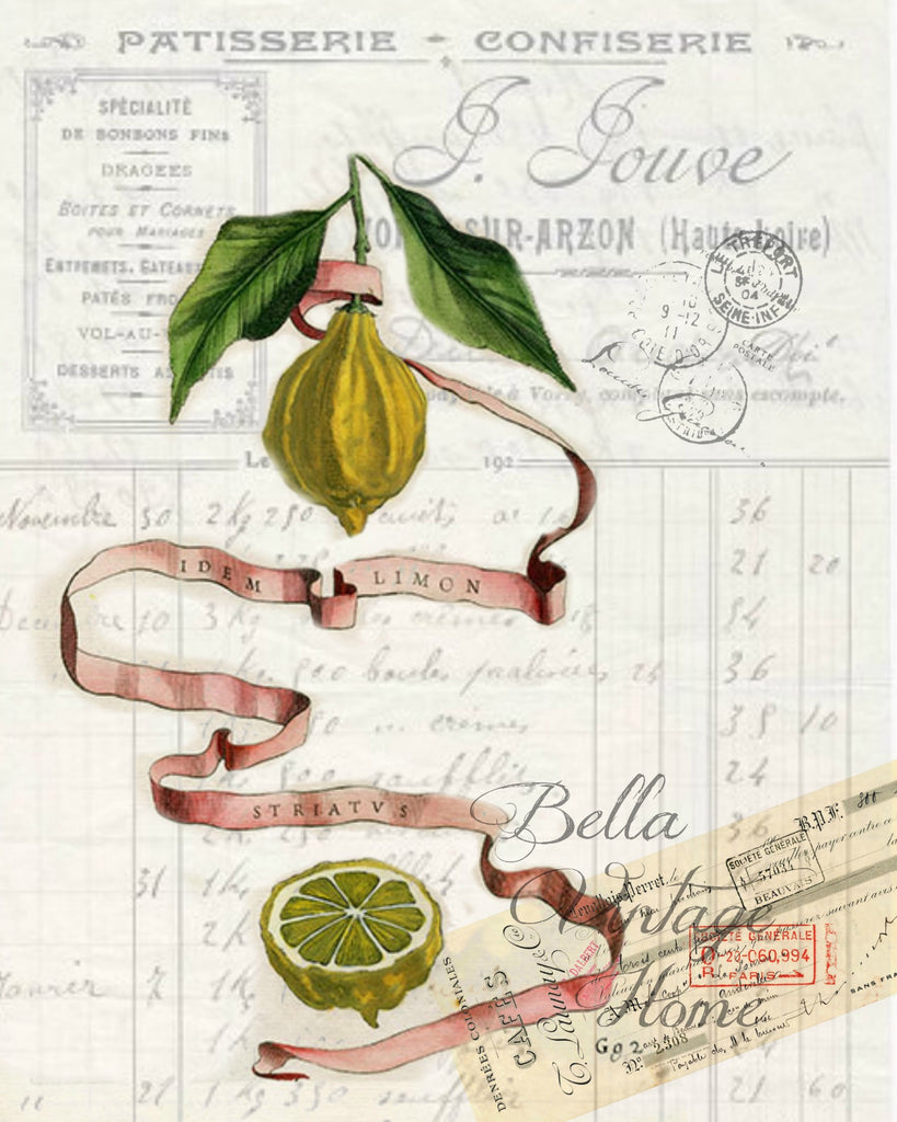 Botanical Lime Print Pillow, Note Cards, Tea Towel, Digital Download - BELLAVINTAGEHOME