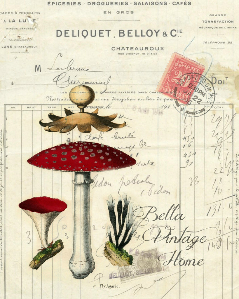 Botanical  Mushrooms I Print, Pillow, Note Cards, Tea Towel, Digital Download - BELLAVINTAGEHOME