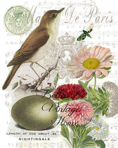 Botanical Nightingale  Bird, Pillow, Note Cards, Tea Towel, Digital Download - BELLAVINTAGEHOME