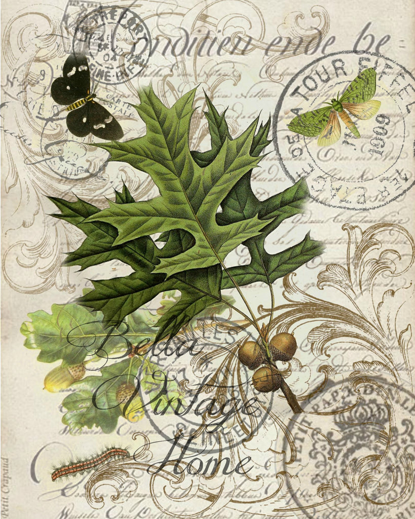 Fall  Tea  Towel Oak Leaf - BELLAVINTAGEHOME