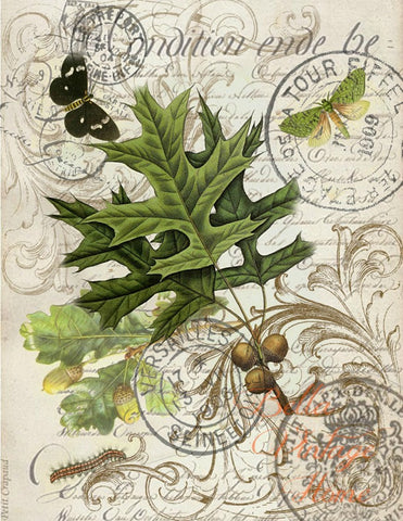 Botanical Oak Leaf Print, Pillow, Note Cards, Tea Towel, Digital Download - BELLAVINTAGEHOME