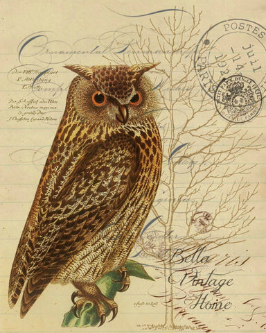 Harvest Owl Botanical Print, Pillow, Note Cards, Tea Towel, Digital Download - BELLAVINTAGEHOME