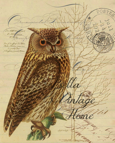 Fall  Tea  Towel Owl - BELLAVINTAGEHOME