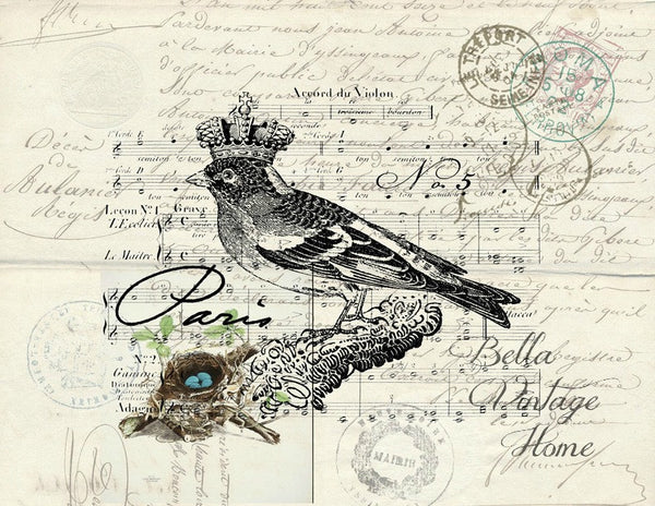 Paris Bird 2 Print,  Pillow, Note Cards, Tea Towel, Digital Download - BELLAVINTAGEHOME