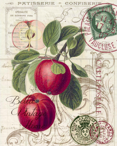 Botanical  Red Apple Print,  Pillow, Note Cards, Tea Towel, Digital Download - BELLAVINTAGEHOME