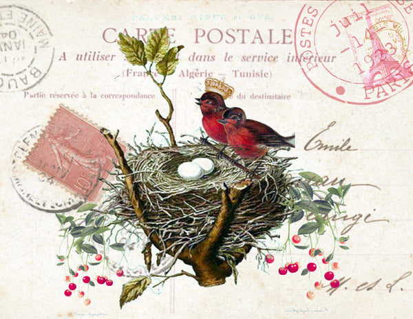 Valentine-Red Bird Carte Postale  Print, Pillow, Notecards, Tea Towel, Digital Download - BELLAVINTAGEHOME