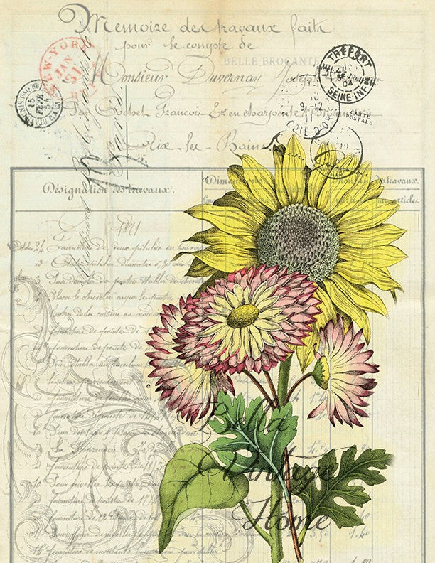 Botanical Sun Flower Print, Pillow, Note Cards, Tea Towel, Digital Download - BELLAVINTAGEHOME