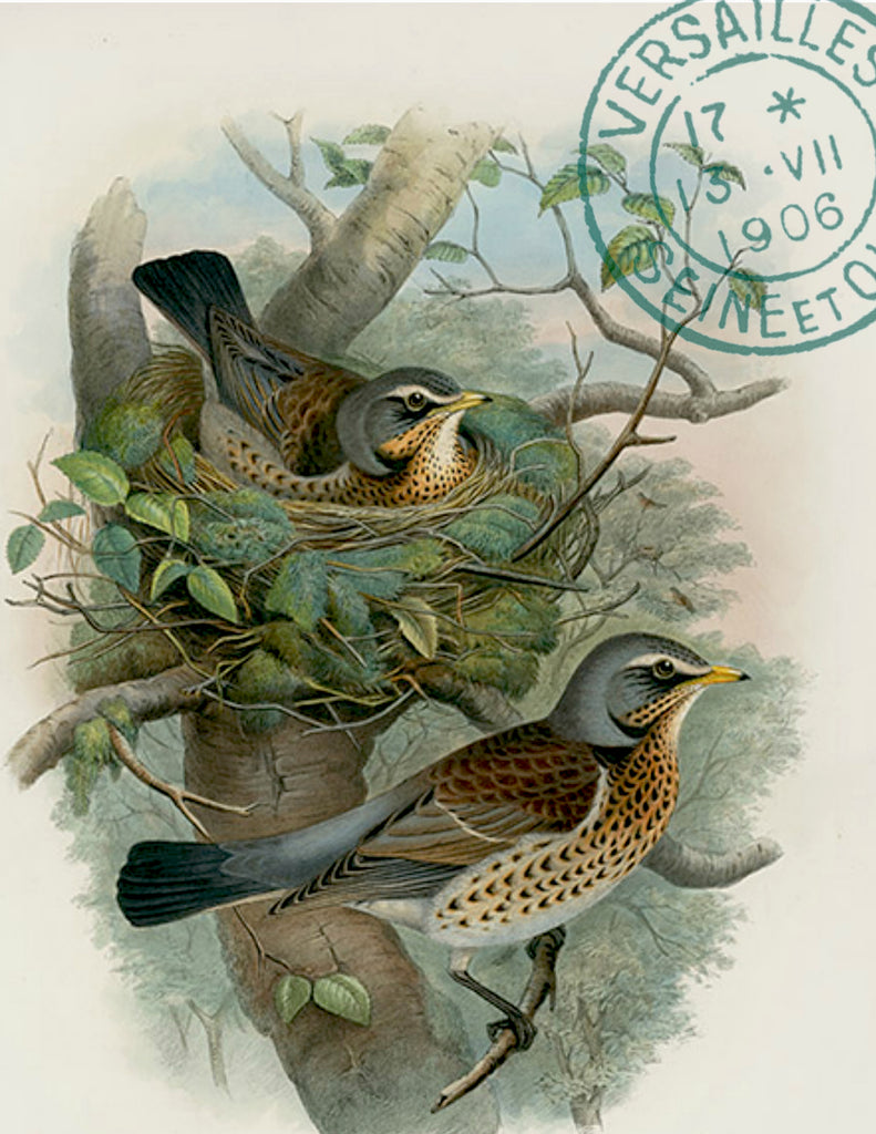 Bird Tea Towel Two Birds with Nest - BELLAVINTAGEHOME