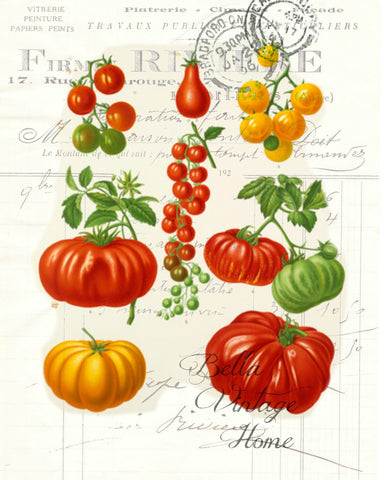 Botanical Tomato Print, Pillow, Note Cards, Tea Towel, Digital Download - BELLAVINTAGEHOME