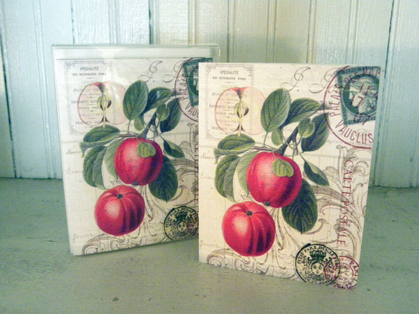 Botanical  Red Apple Print,  Pillow, Note Cards, Tea Towel, Digital Download - BELLAVINTAGEHOME