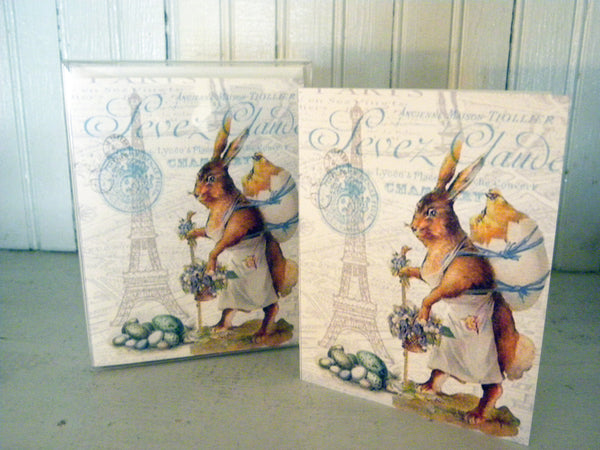 Mother Rabbit in Paris Print, Pillow, Note Cards, Tea Towel, Digital Download - BELLAVINTAGEHOME