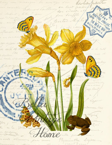 Botanical Yellow Daffodil and Butterflies Print,  Pillow, Note Cards, Tea Towel, Digital Download - BELLAVINTAGEHOME