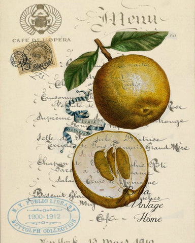 Botanical Golden Apple Print, Pillow, Note Cards, Tea Towel, Digital Download - BELLAVINTAGEHOME